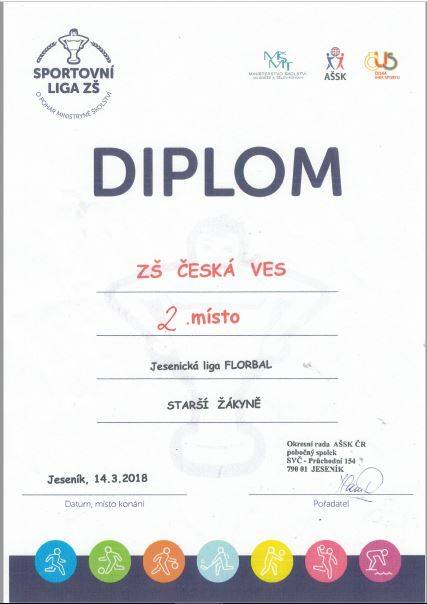 Jesenicka_liga_-_starsi_zakyne.JPG