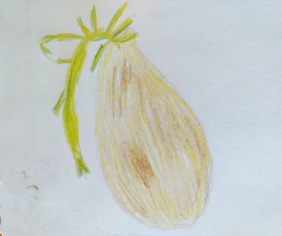 VV výzva I. - výsledky - VV výzva II.