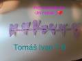 tomas-ivan.jpg