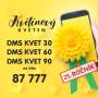 kvetinovy_kveten_dms_banner.jpg
